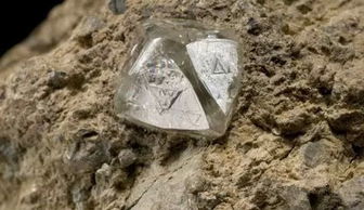 地方发现的钻石原石笠木一香